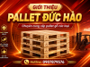 Đơn vị cung cấp pallet gỗ uy tín tại Chơn Thành và các khu vực lân cận
