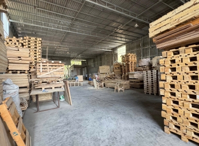 Pallet gỗ Đồng Xoài – giải pháp kê hàng an toàn, tiết kiệm cho doanh nghiệp